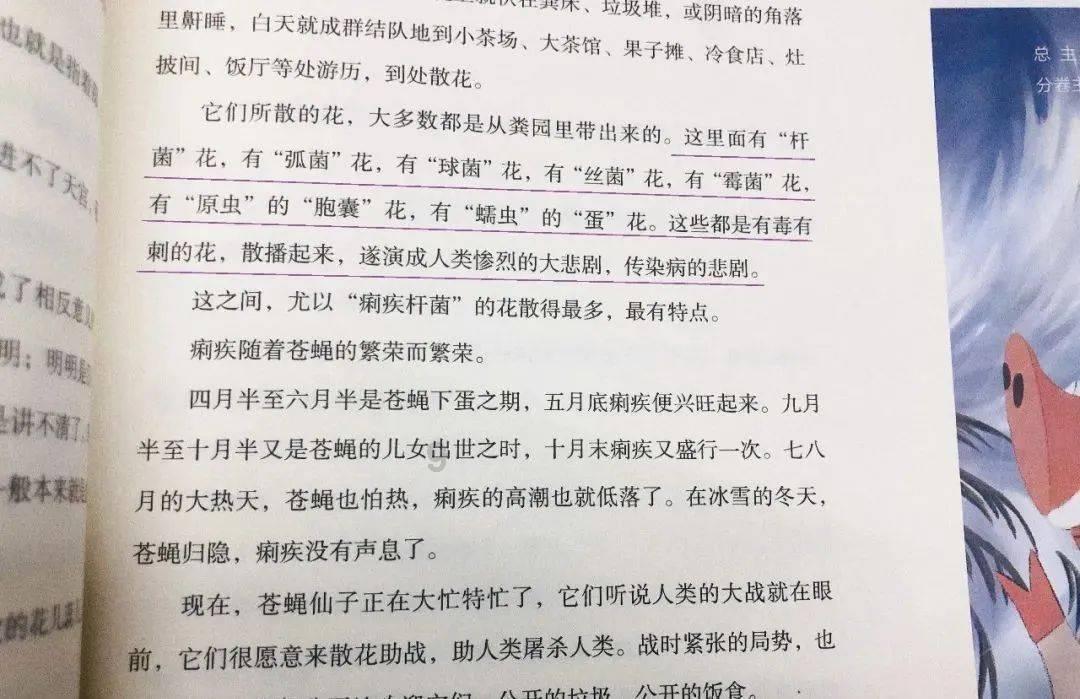 了解普通发票和增值税发票的区别平台,探索知识星球的魅力
